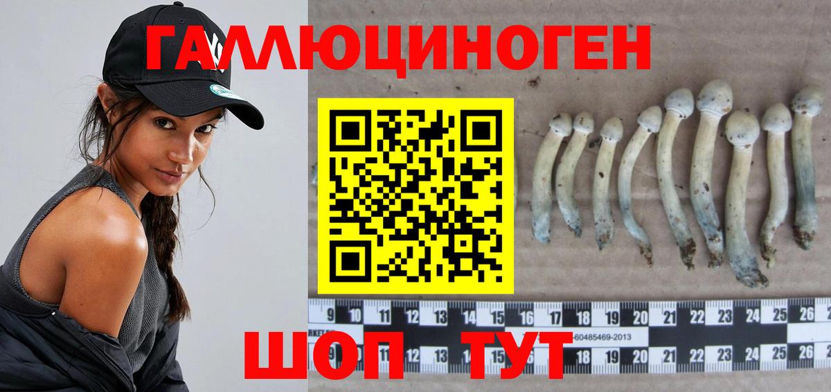 Псилоцибиновые грибы GOLDEN TEACHER  Псилоцибиновые грибы мицелий  Вход с VPN  Вятские Поляны 